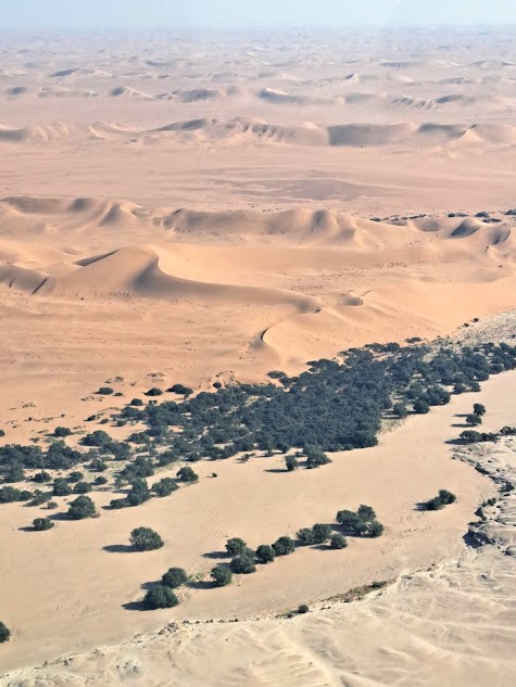 Hot Air Balloon over the Desert - Image 7